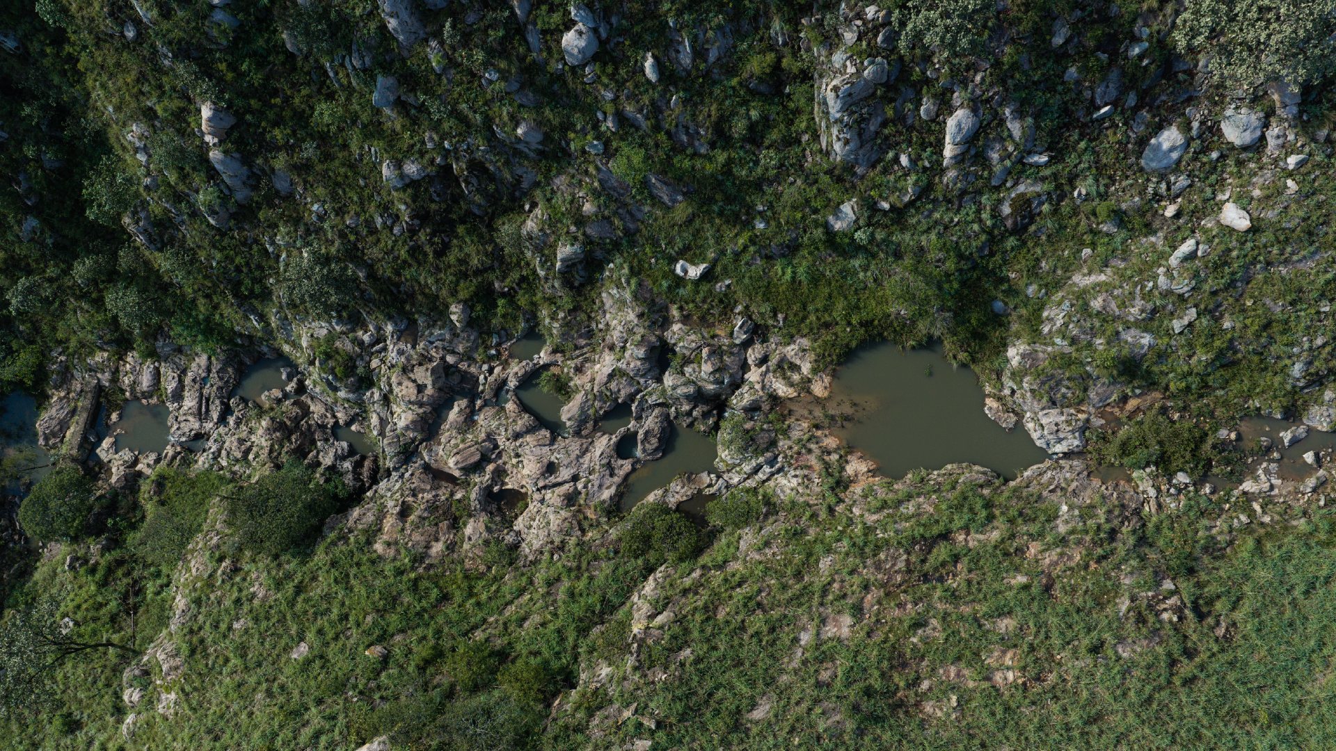 Cauce de agua entre la vegetación de Reserva Caxcanes