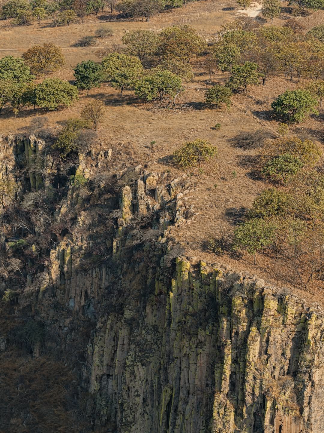 Detalle de columnas de roca volcánica en la barranca
